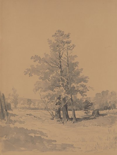 Bomen aan de rand van het bos door Friedrich Carl von Scheidlin